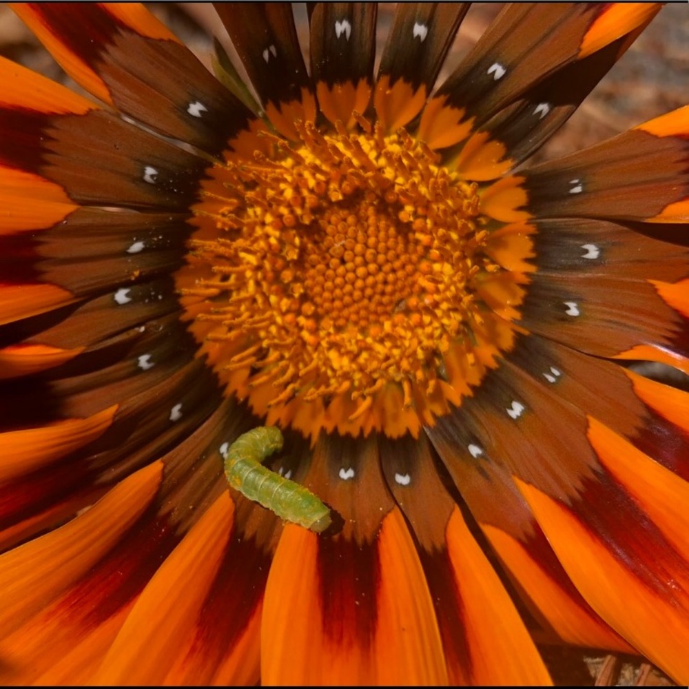 Meet your Posher, Catherine